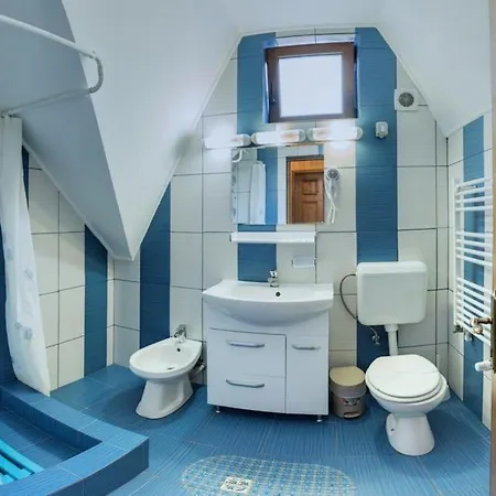 Konukevi Pensiunea Casa Bükreş