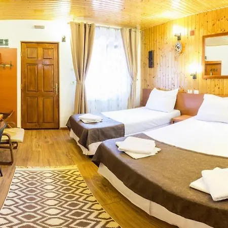 Pensiunea Casa 3* Bükreş