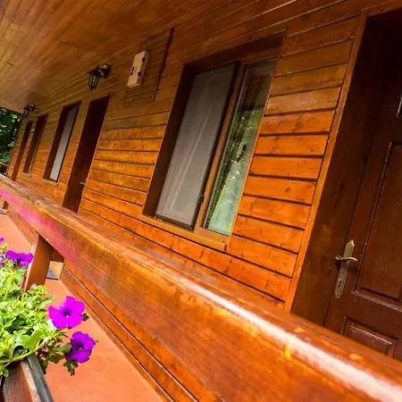 Pensiunea Casa Konukevi 3*