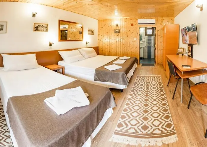 Maison d'hôtes Pensiunea Casa