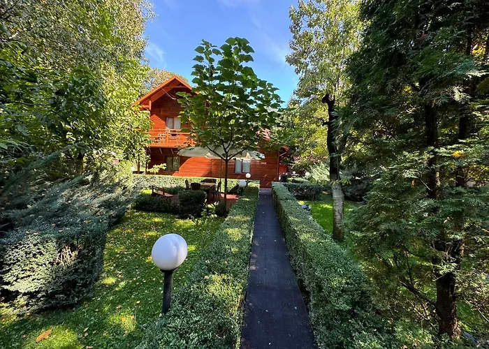 Pensiunea Casa 3*