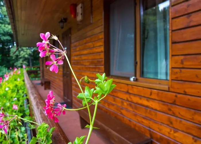 بيت ضيافة Pensiunea Casa بوخارست