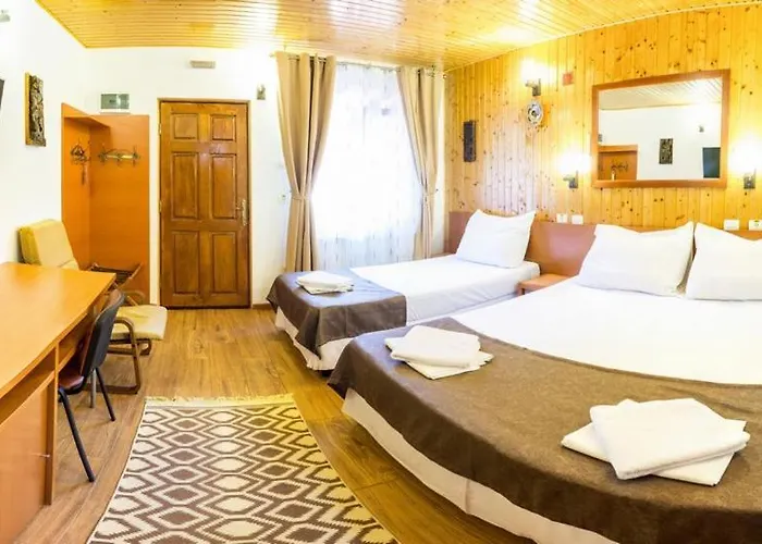 Pensiunea Casa 3* Bucarest