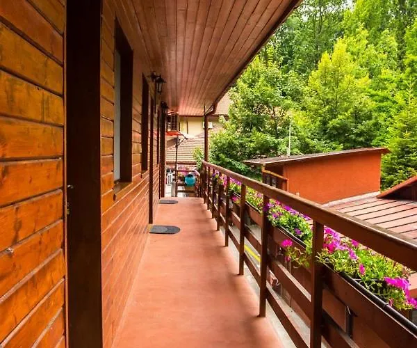 Pensiunea Casa Maison d'hôtes Bucarest