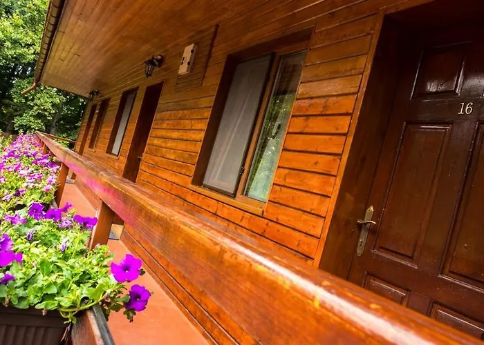 Pensiunea Casa Maison d'hôtes 3*