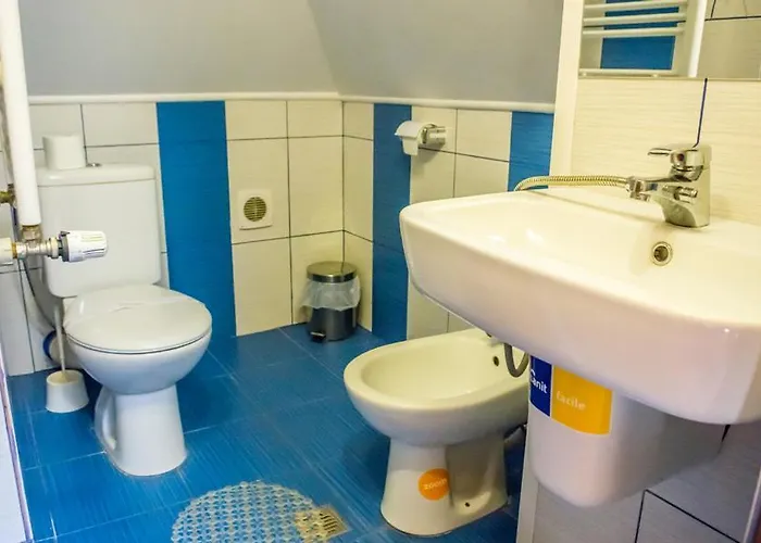 Pensiunea Casa 3* بوخارست