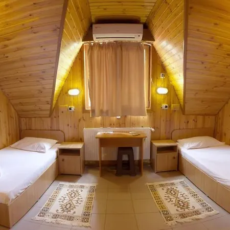 Gasthuis Pensiunea Casa 3*